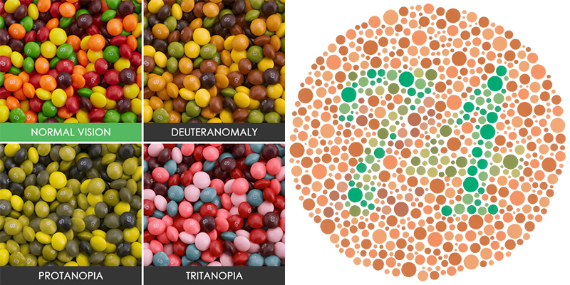 Visuele voorbeelden van de verschillen in kleurperceptie per type kleurenblindheid